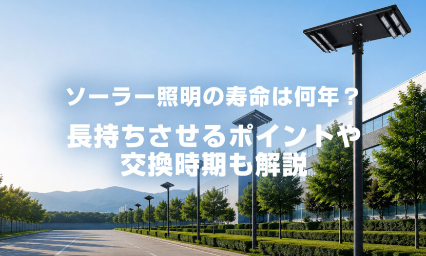 画像の説明 画像の説明