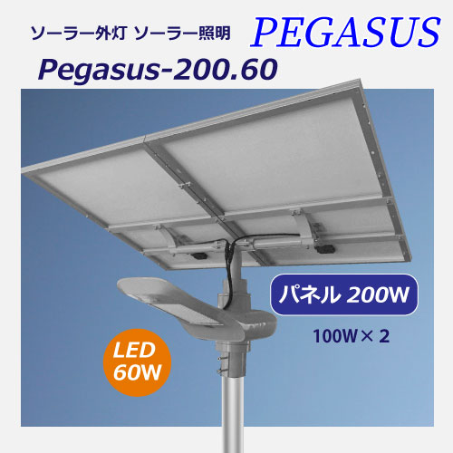 PEGASUS200.60